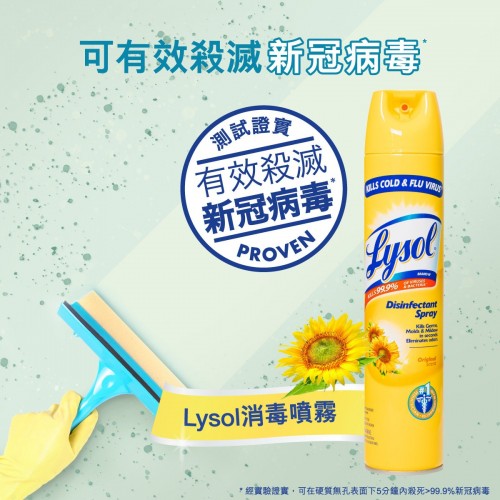 Lysol - 殺菌消毒噴霧 - 清新花香 510克 -新裝