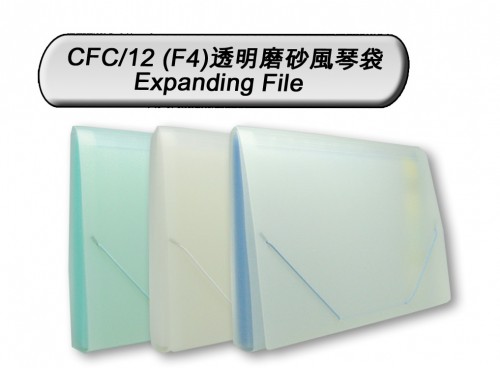 DATA BANK CFC-12 12格F4透明磨砂風琴袋